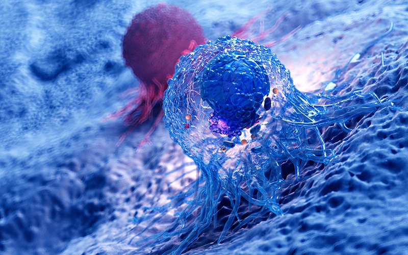 Tumorwunden_AdobeStock_305639707_800x500